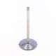 Intake Valve