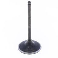 Intake Valve