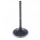 Intake Valve