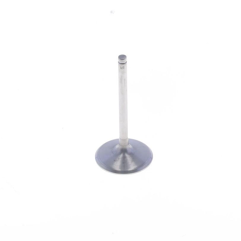 Intake Valve