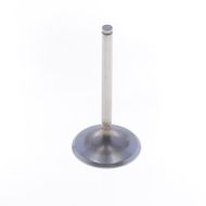 Intake Valve