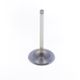 Intake Valve