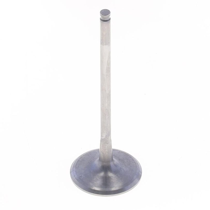 Intake Valve