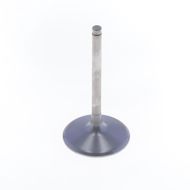 Intake Valve