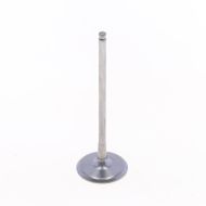 Intake Valve