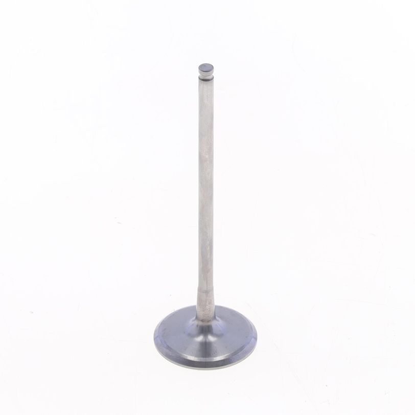 Intake Valve