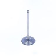 Intake Valve