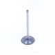 Intake Valve