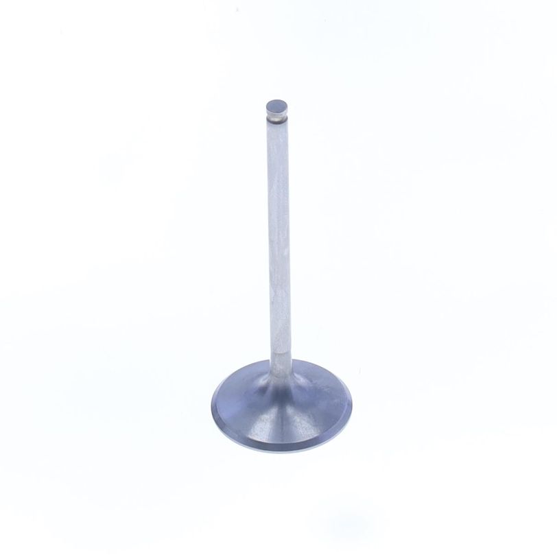 Intake Valve