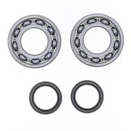 Kit Revisione Albero Motore: Kit Cuscinetti e Paraolio