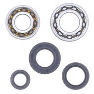 Kit Revisione Albero Motore: Kit Cuscinetti e Paraolio