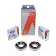 Kit Revisione Albero Motore: Kit Cuscinetti e Paraolio