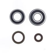 Kit Revisione Albero Motore: Kit Cuscinetti e Paraolio