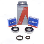 Kit Revisione Albero Motore: Kit Cuscinetti e Paraolio