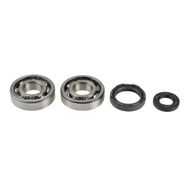 Kit Revisione Albero Motore: Kit Cuscinetti e Paraolio