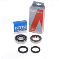 Kit Revisione Albero Motore: Kit Cuscinetti e Paraolio