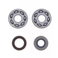 Kit Revisione Albero Motore: Kit Cuscinetti e Paraolio