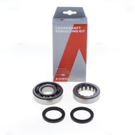 Kit Revisione Albero Motore: Kit Cuscinetti e Paraolio
