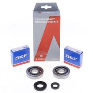 Kit Revisione Albero Motore: Kit Cuscinetti e Paraolio