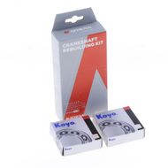 Kit Revisione Albero Motore: Kit Cuscinetti e Paraolio