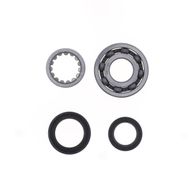 Kit Revisione Albero Motore: Kit Cuscinetti e Paraolio