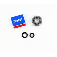 Kit Revisione Albero Motore: Kit Cuscinetti e Paraolio