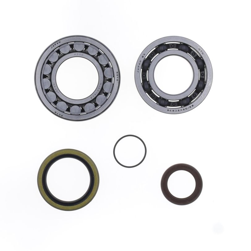 Kit Revisione Albero Motore: Kit Cuscinetti e Paraolio