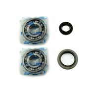 Kit Revisione Albero Motore: Kit Cuscinetti e Paraolio