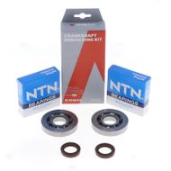 Kit Revisione Albero Motore: Kit Cuscinetti e Paraolio