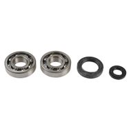 Kit Revisione Albero Motore: Kit Cuscinetti e Paraolio