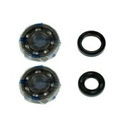 Kit Revisione Albero Motore: Kit Cuscinetti e Paraolio