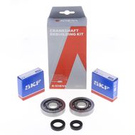 Kit Revisione Albero Motore: Kit Cuscinetti e Paraolio