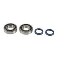 Kit Revisione Albero Motore: Kit Cuscinetti e Paraolio