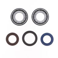 Kit Revisione Albero Motore: Kit Cuscinetti e Paraolio