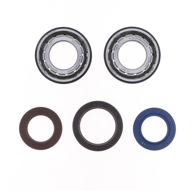 Kit Revisione Albero Motore: Kit Cuscinetti e Paraolio