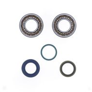Kit Revisione Albero Motore: Kit Cuscinetti e Paraolio