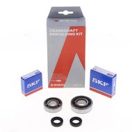 Kit Revisione Albero Motore: Kit Cuscinetti e Paraolio