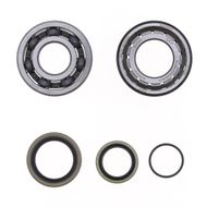 Kit Revisione Albero Motore: Kit Cuscinetti e Paraolio