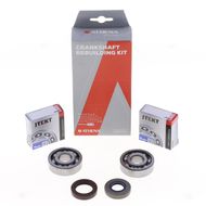 Kit Revisione Albero Motore: Kit Cuscinetti e Paraolio