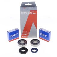 Kit Revisione Albero Motore: Kit Cuscinetti e Paraolio