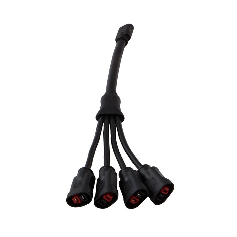 Link cable with 4x Anderson Power Pole to APP connector Athena