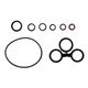 O-ring and Washer Kit