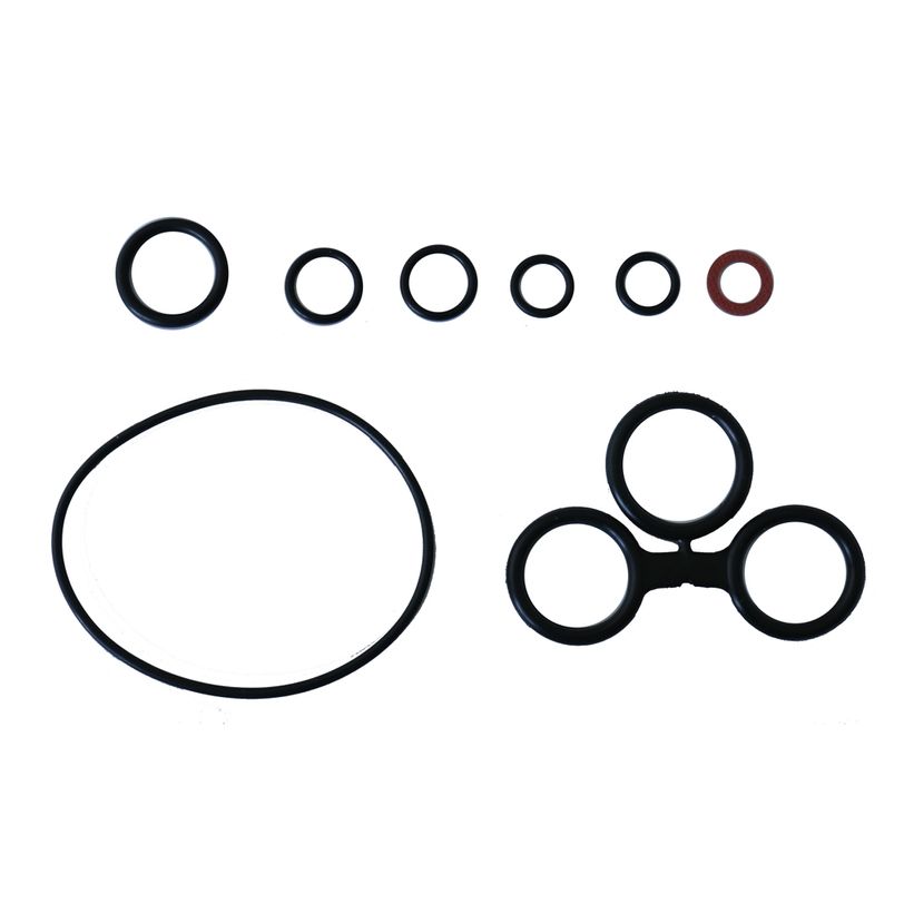 O-ring and Washer Kit