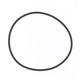 O-Ring in FKM 75,87x2,62  