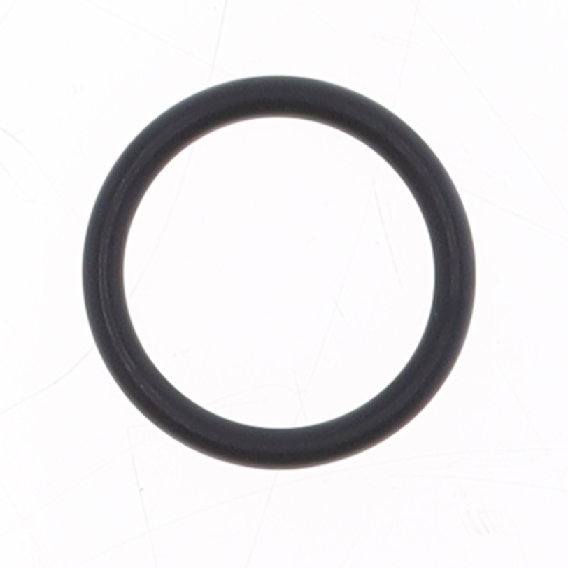 O-ring Scarico