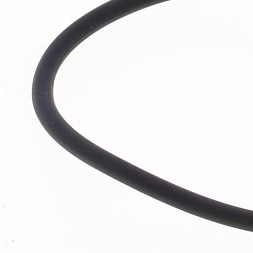 O-ring Scarico