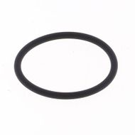 O-ring Scarico