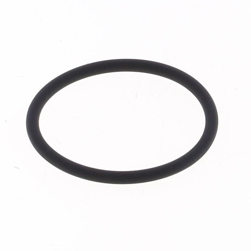 O-ring Scarico