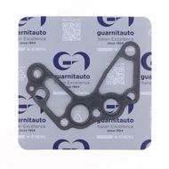 Oil Pump Gasket