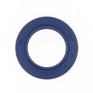 Oil Seal with Rubber Exterior 30x47x7 mm in NBR with one Seal-lip, one Dust Lip and Spring